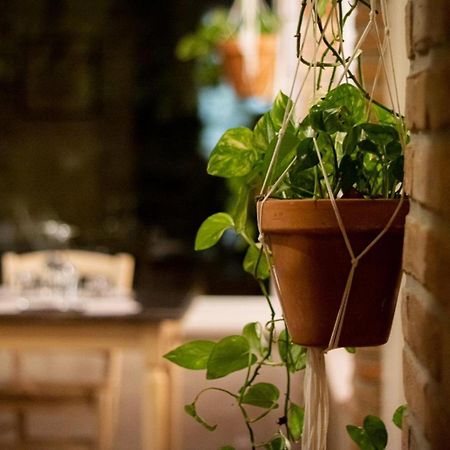 Agricola Casa Cucina Bottega Villa Cesena Eksteriør bilde