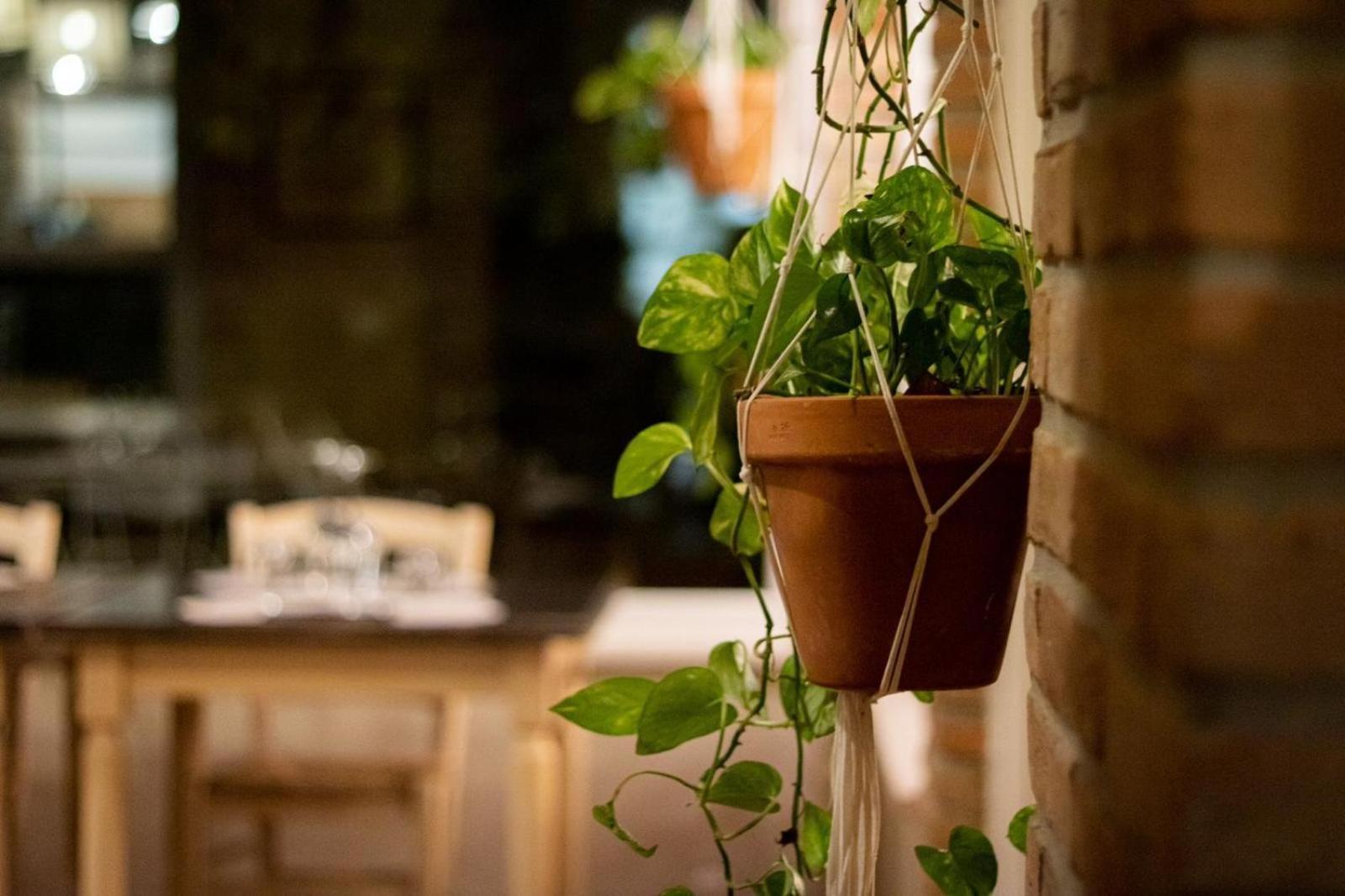 Agricola Casa Cucina Bottega Villa Cesena Eksteriør bilde