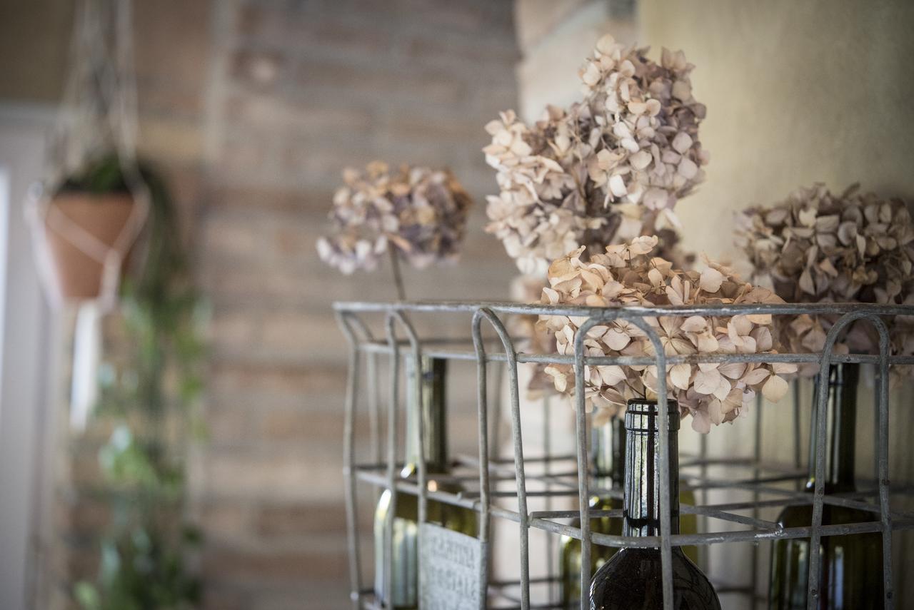 Agricola Casa Cucina Bottega Villa Cesena Eksteriør bilde